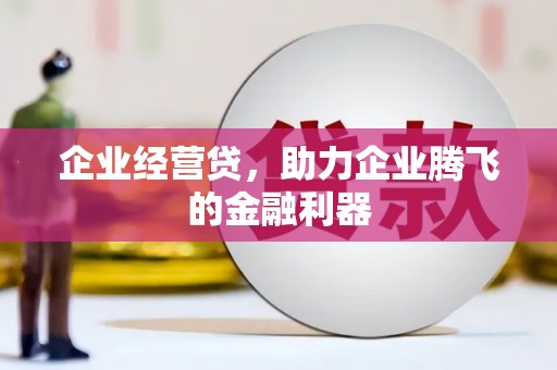 南安企业经营贷，助力企业腾飞的金融利器