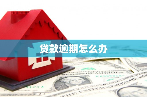 冀州贷款逾期怎么办