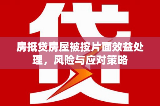 仁武房抵贷房屋被按片面效益处理，风险与应对策略